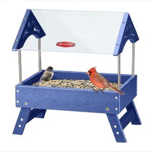 Ground Platform Bird / Squirrel Feeder - Recycled Plastic Feeder for Outdoors